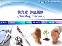 护理学导论护理程序课件