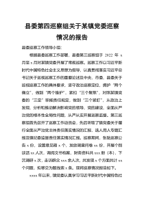 县委第四巡察组关于某镇党委巡察情况的报告