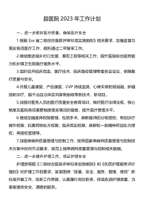 县医院2023年工作计划