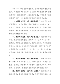 乡创建红旗党支部情况汇报