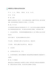 有限责任公司股东合作协议范本