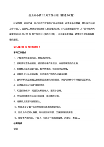 幼儿园小班12月工作计划10篇