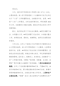 在2022年市委农村工作领导小组会议上的讲话