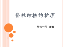 脊柱结核护理演示精品PPT课件