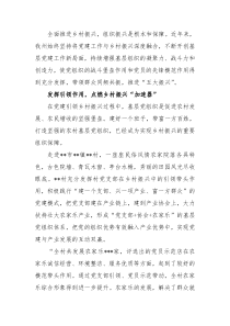 组织振兴引领乡村振兴工作总结材料