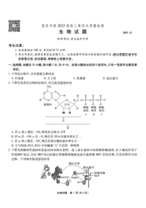重庆市2022-2023学年高三上学期12月第四次质量检测生物试题及答案