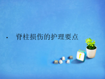 脊柱损伤病人的护理-ppt课件