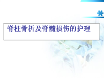 脊椎骨折及脊髓损伤的护理精品PPT课件