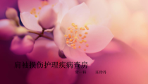 肩袖损伤护理疾病查房ppt课件