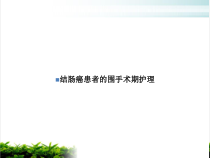 结肠癌患者的围手术期护理ppt培训课件