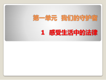 部编版道德与法治六年级上册1.1.1《感受生活中的法律》PPT课件（共15页）