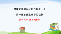 部编版道德与法治六年级上册1.1《法律是什么》PPT课件 (共18页)