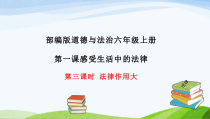 部编版道德与法治六年级上册1.3《法律作用大》PPT课件(共16页)