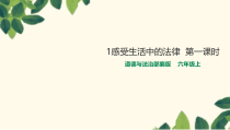 部编版道德与法治六年级上册1《感受生活中的法律》（第1课时）PPT课件 (共23页) 