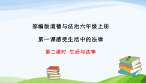 部编版道德与法治六年级上册1.2《生活与法律》PPT课件(共19页)