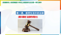 部编版道德与法治六年级上册1《感受生活中的法律》ppt课件(第3课时)