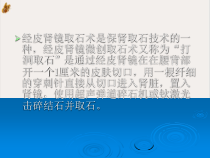 经皮肾镜护理PPT课件
