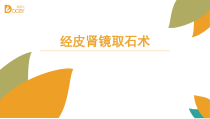 经皮肾镜取石术护理查房PPT参考幻灯片课件