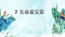 人教版部编道德与法治三年级上册7《生命最宝贵》PPT课件（共25页）
