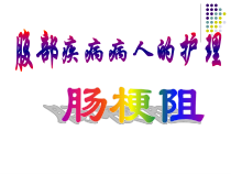 课件教案21——肠梗阻病人的护理