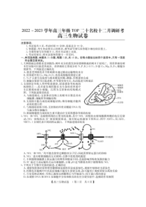 2022-2023学年河南省非凡吉创TOP二十名校高三上学期12月调研考试生物试卷及答案