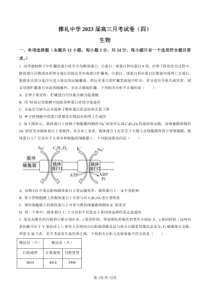 2022-2023学年湖南省长沙雅礼中学高三上学期月考卷四生物试题卷及答案