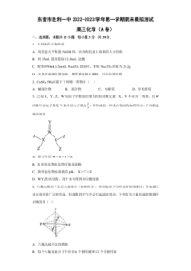 2022-2023学年山东省东营市胜利一中高三上学期期末模拟测试A卷化学试题卷