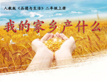 道德与法治二年级上册《14.家乡物产养育我》PPT课件1-统编版