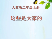 道德与法治二年级上册9《这些是大家的》PPT课件（共45页）-人教版统编