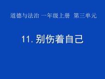 道德与法治一年级上册11《别伤着自己》PPT课件（共24页）-人教统编版道德与法治