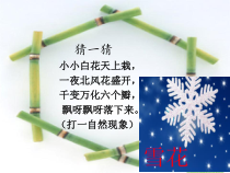 《13 美丽的冬天》PPT课件1-统编版道德与法治一年级上册