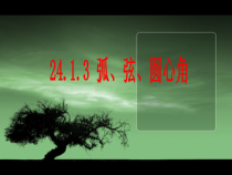 《24.1.3弧、弦、圆心角》PPT课件1-九年级上册数学人教版