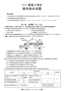 四川省2023届高三金太阳12月联考理科综合试题及答案