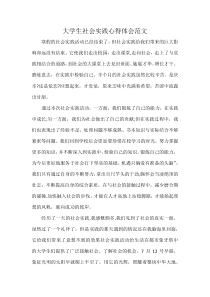 大学生社会实践心得体会范文