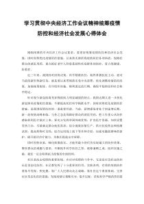 范文2022年学习贯彻中央经济工作会议精神统筹疫情防控和经济社会发展心得体会