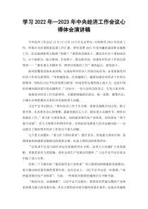 学习2022年2023年中央经济工作会议心得体会演讲稿2篇范文