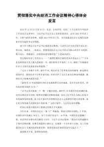 贯彻落实中央经济工作会议精神心得体会发言2篇范文