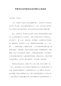 市委书记在市政协会议开幕式上的讲话