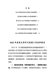 2022年度党支部书记党建工作述职报告6篇
