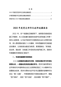 2022年度党支部书记述职述廉报告3篇