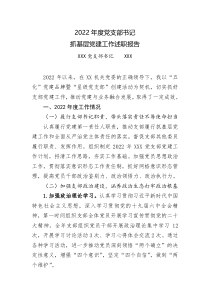 2022年度党支部书记抓基层党建工作述职报告