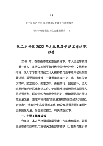 党工委书记2022年度抓基层党建工作述职报告共2篇
