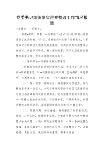 党委书记组织落实巡察整改工作情况报告