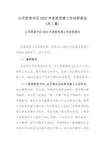 公司党委书记2022年度抓党建工作述职报告共二篇