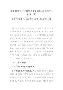 国有资产服务中心2022年工作总结2023年工作打算共二篇
