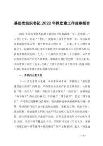 基层党组织书记2022年抓党建工作述职报告