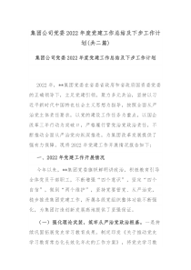 集团公司党委2022年度党建工作总结及下步工作计划共二篇