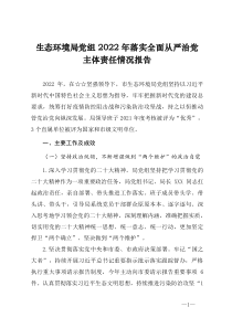 生态环境局党组2022年落实全面从严治党主体责任情况报告