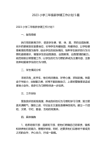 2023小学二年级新学期工作计划5篇
