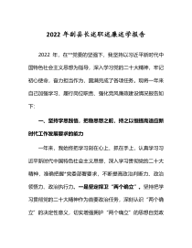 2022年副县长述职述廉述学报告